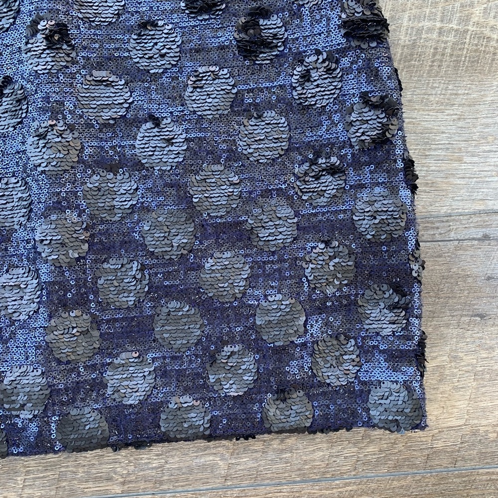 Anthropologie—Broadway & Broome—Sequin Skirt - Picture 3 of 8